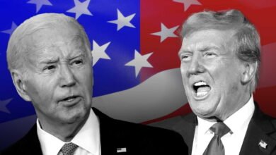 هوكشتاين "ضب غراضو"