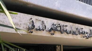 التنظيم المدني