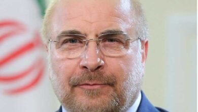 رئيس مجلس الشورى الإيراني