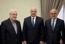 في مسألة الحوار والسلاح 7